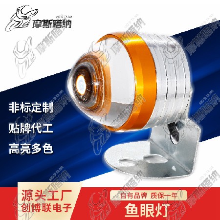 CBL-W-M19
